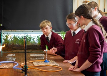 Pupils doing science